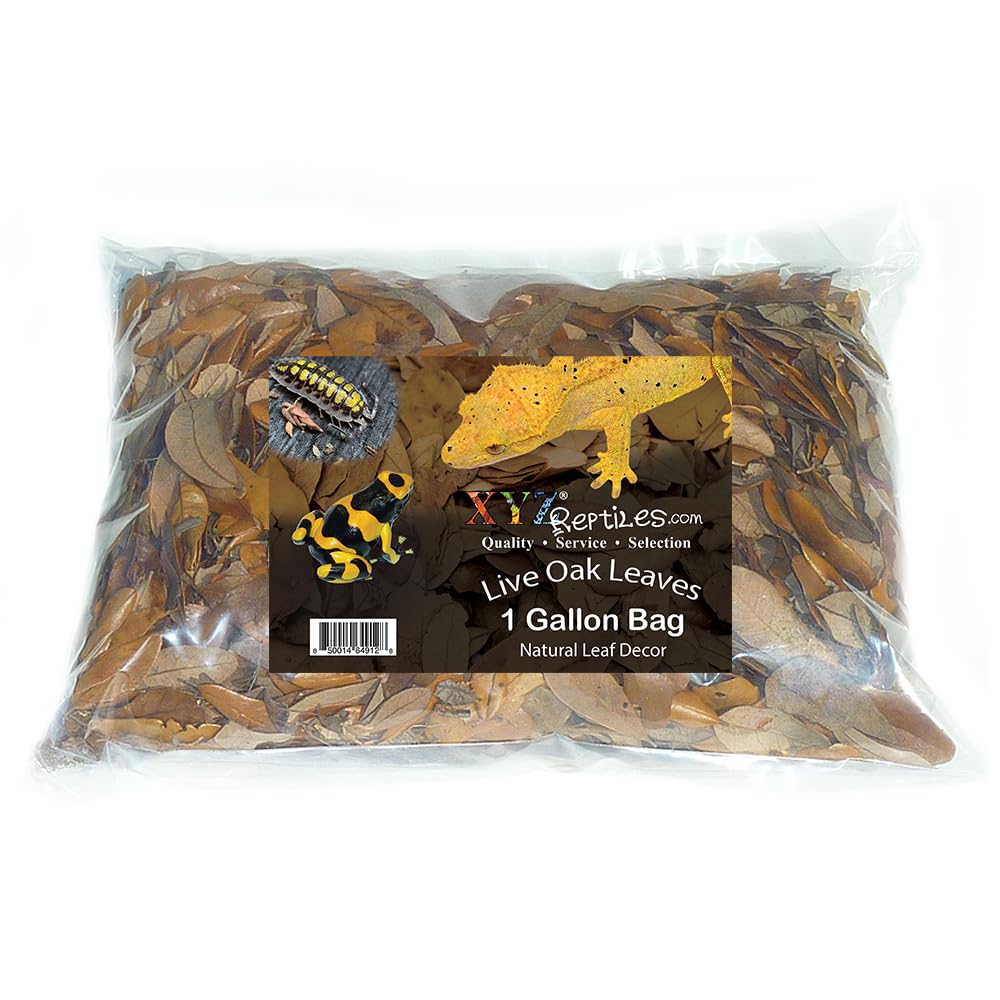 XYZReptiles Premium Live Oak Leaf Litter Isopod Substrate Terrarium Bedding (1 Gallon)